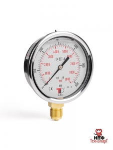 Манометр радиальный 100 мм 0-60 bar 1/2BSP TP